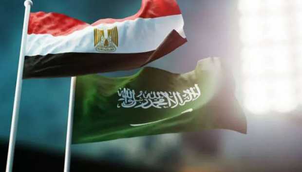 مصر: تفويض البرلمان لدعم السعودية لا يستهدف اليمن